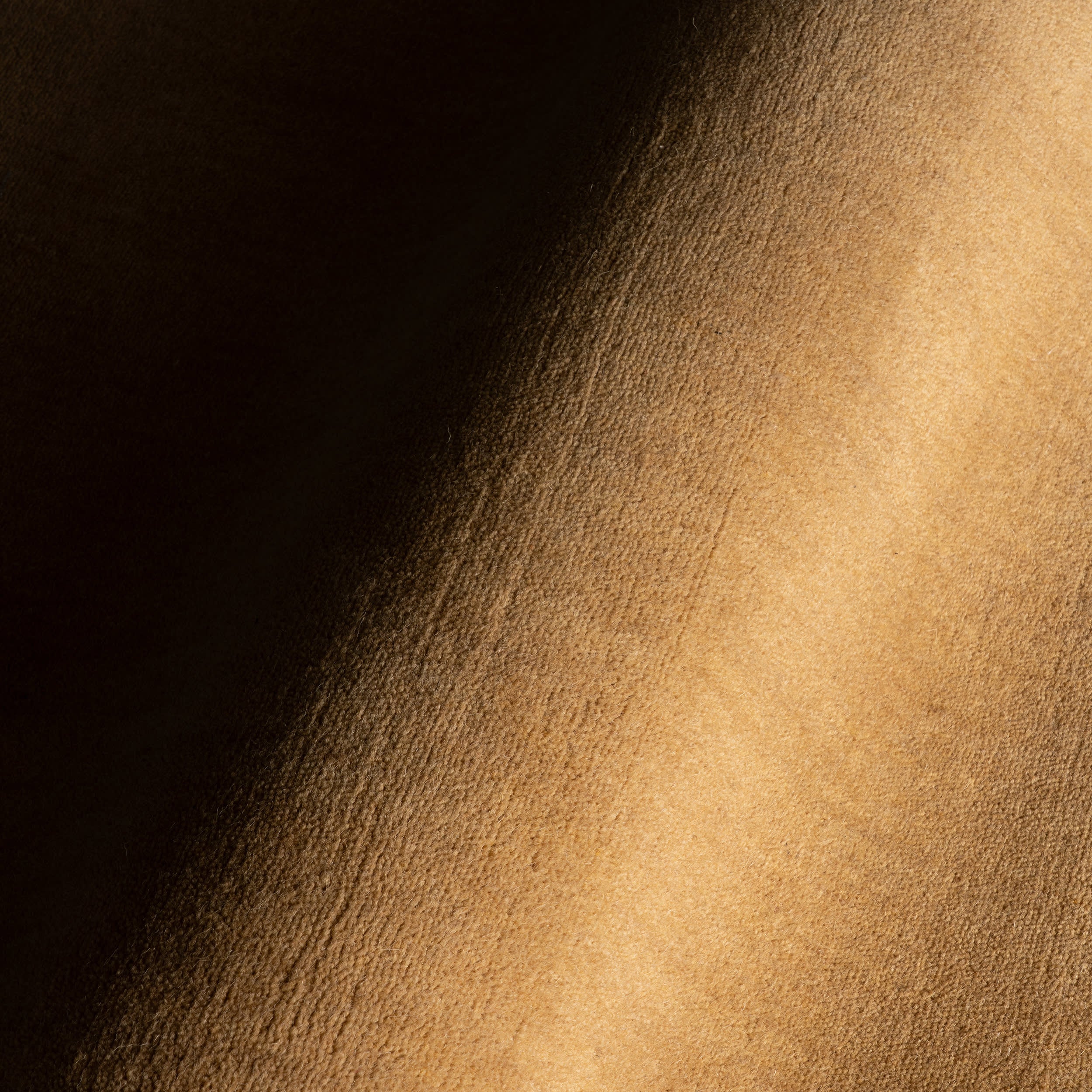 Taniea Modern Tan Rug | Tan - Image 7