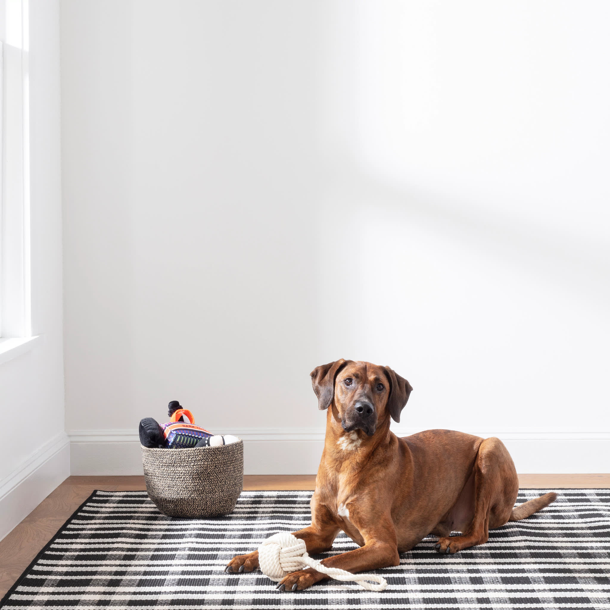 Tattersall Handwoven Indoor/Outdoor Custom Rug | Black - Image 3