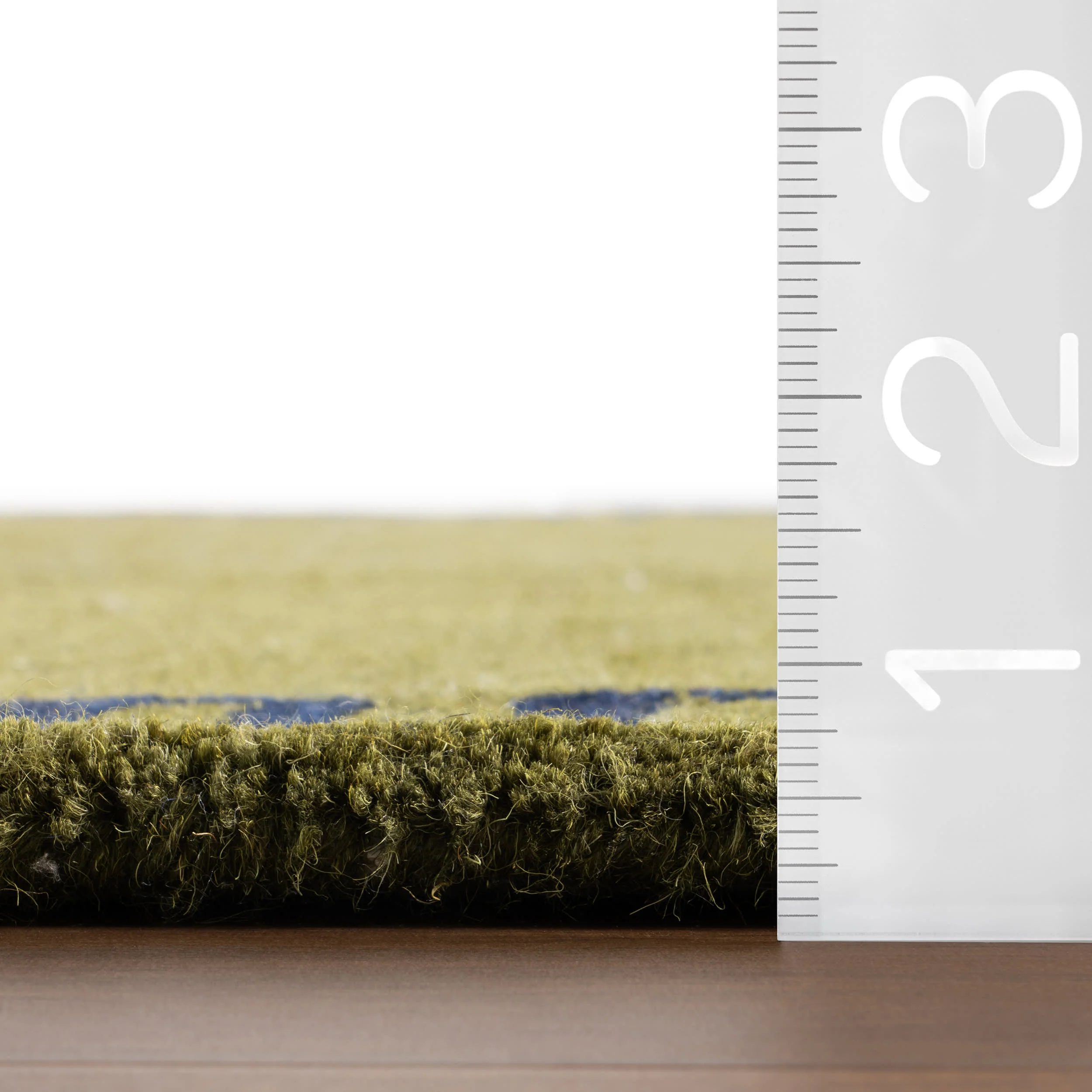 Taya Modern Bordered Rug | Green - Image 6