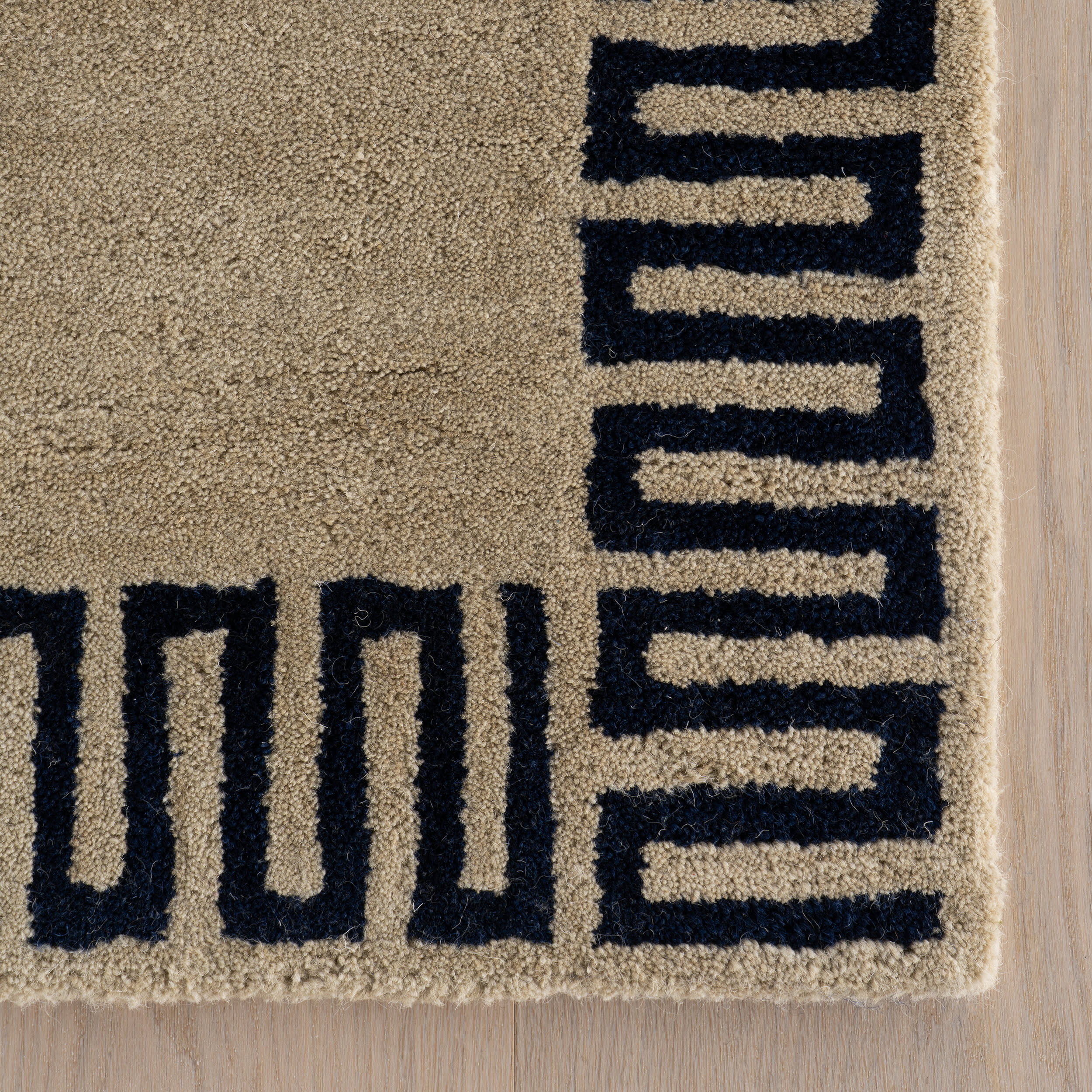 Taya Modern Bordered Rug | Beige - Image 4