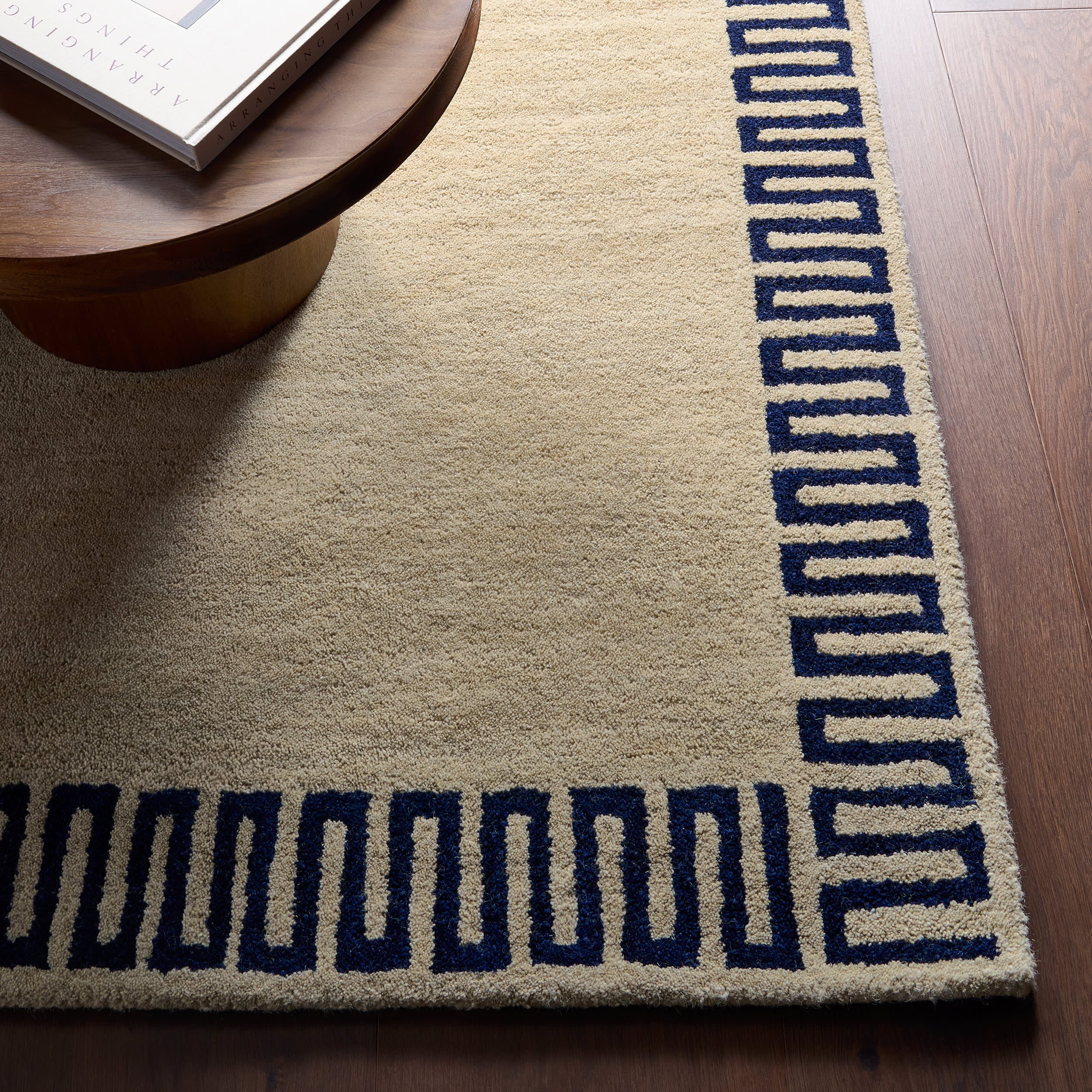 Taya Modern Bordered Rug | Beige - Image 5