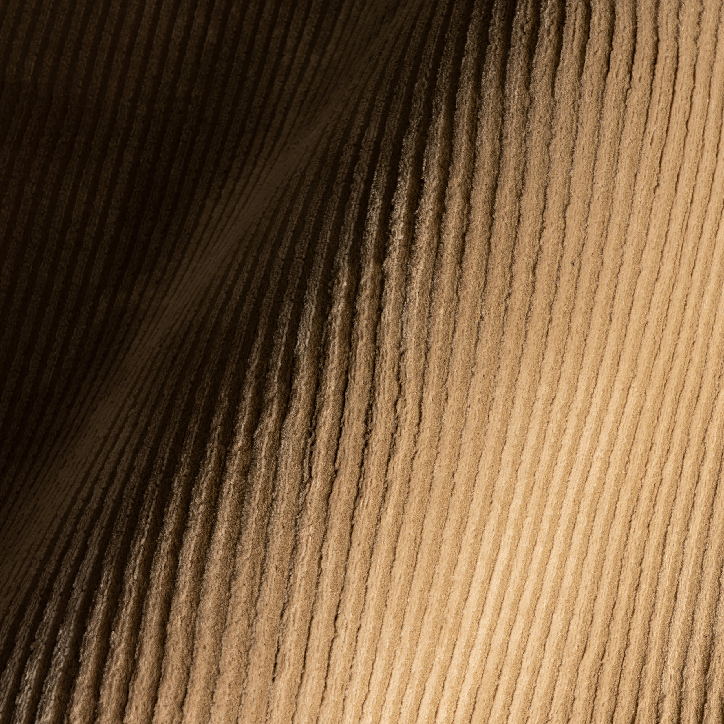 Tiera Bordered Plush Textured Washable Rug | Sand - Image 3
