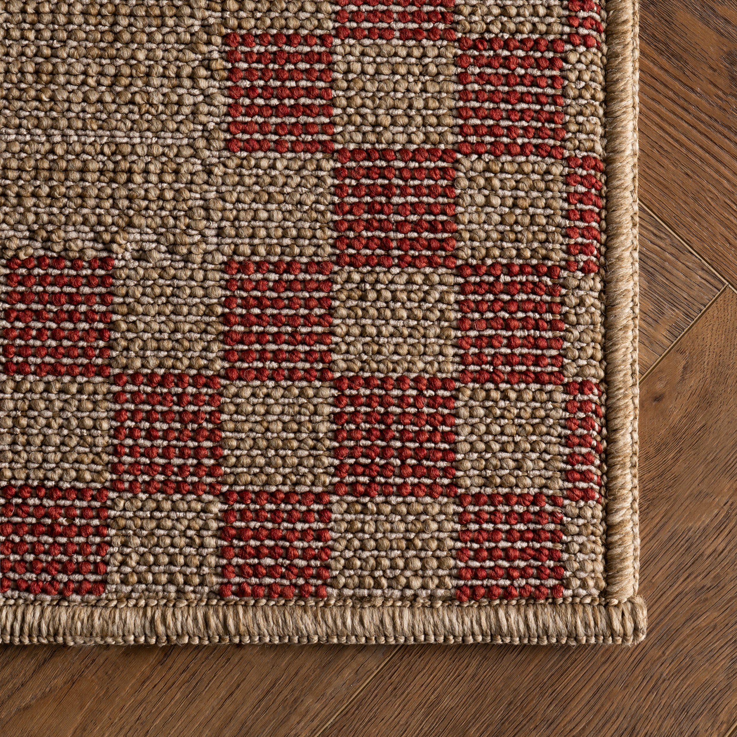 Vesna Bordered Checkered Indoor/Outdoor Rug | Red - Image 4