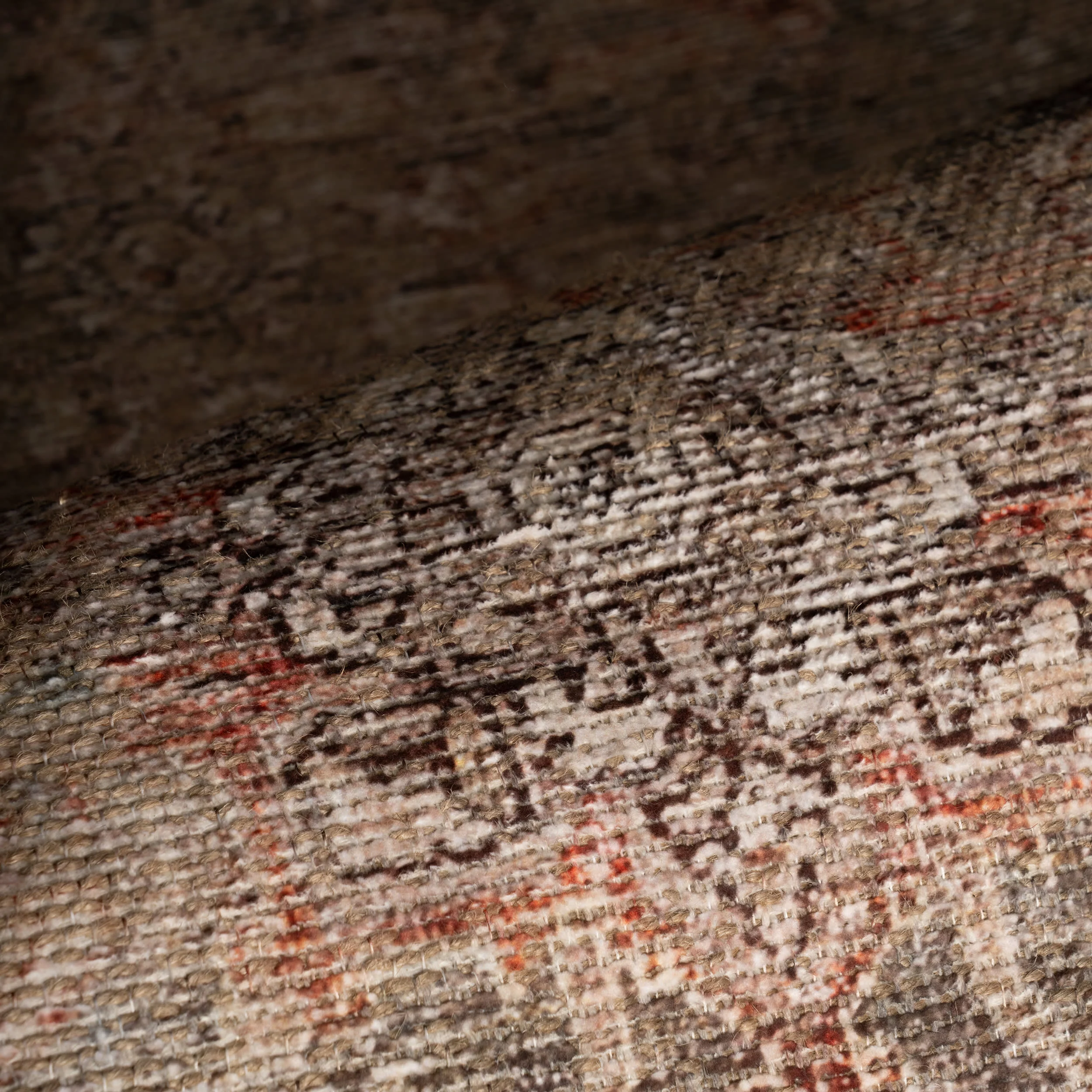 Via Floral and Paisley Rug | Multicolor - Image 3