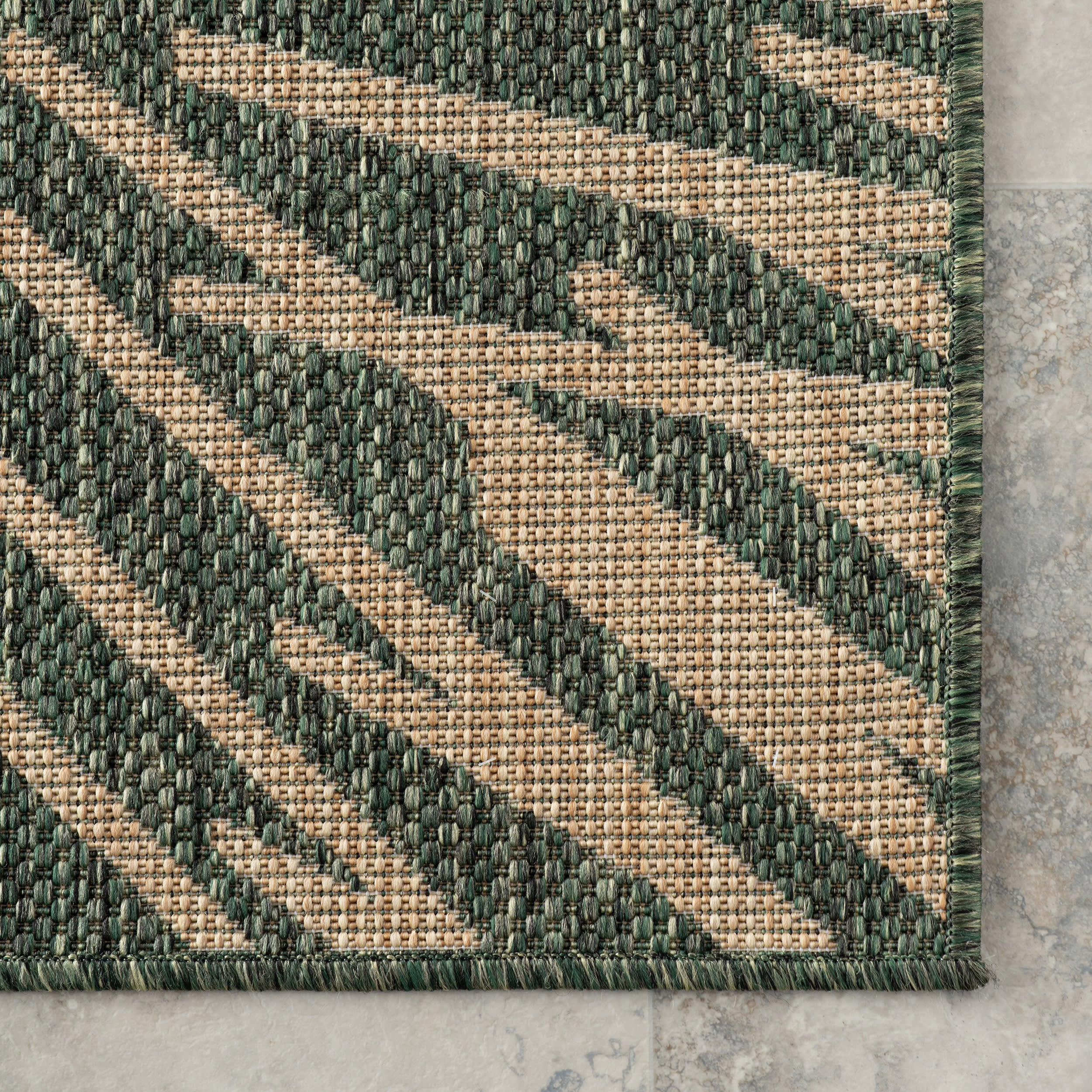 Vionne Bordered Indoor/Outdoor Rug | Green - Image 4