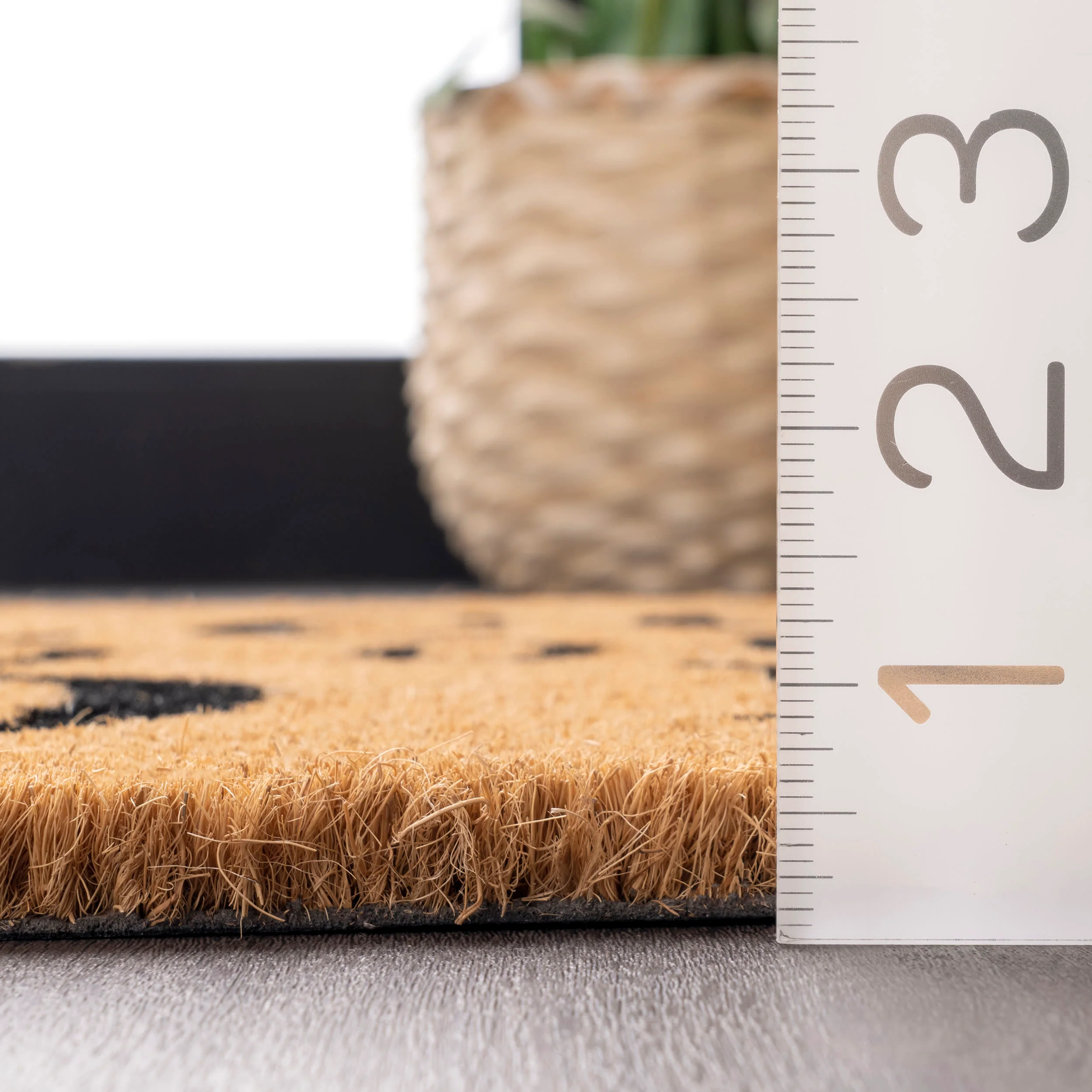Welcome Home Coir Doormat | Natural - Image 4