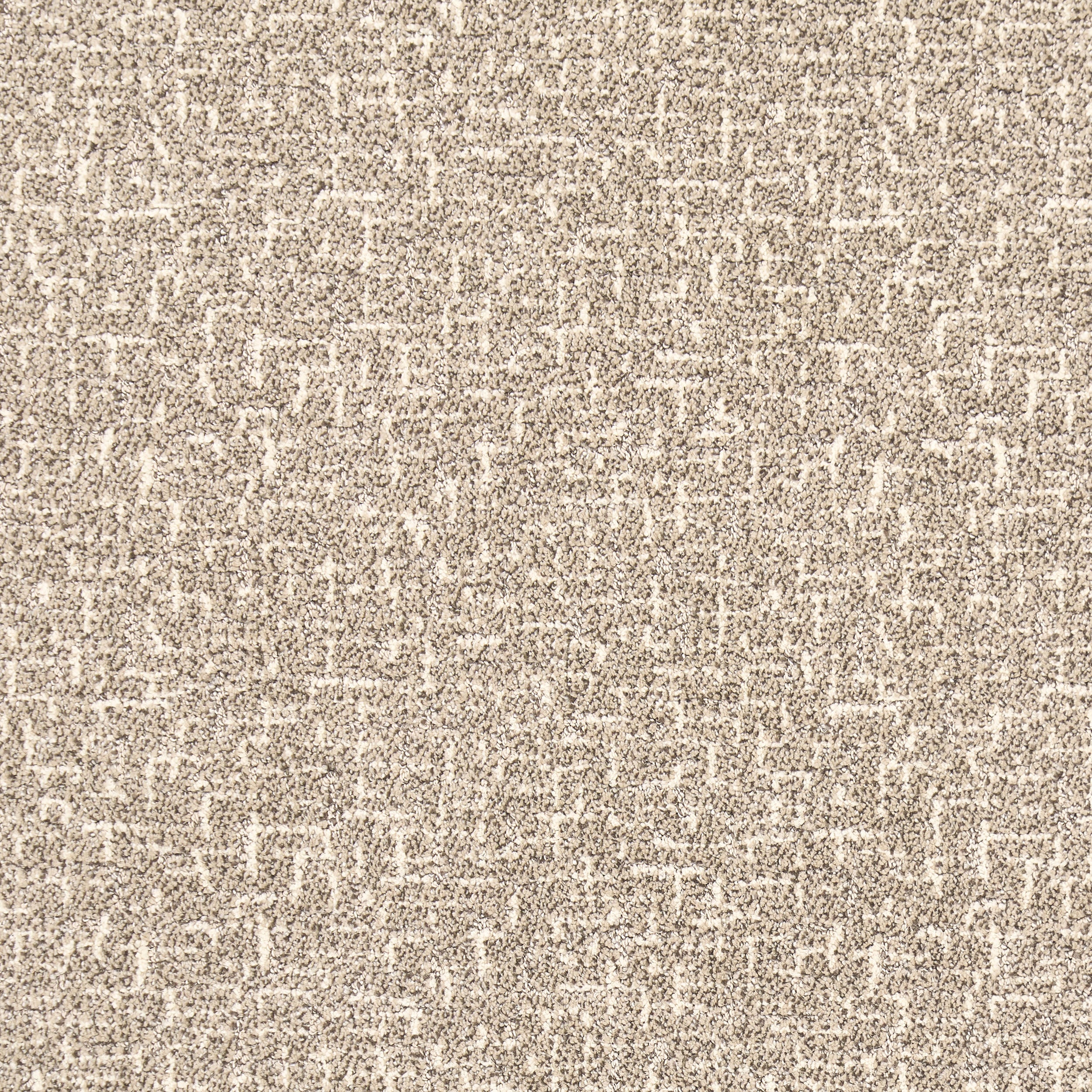 Whippoorwill Custom Rug | Light Brown - Image 4