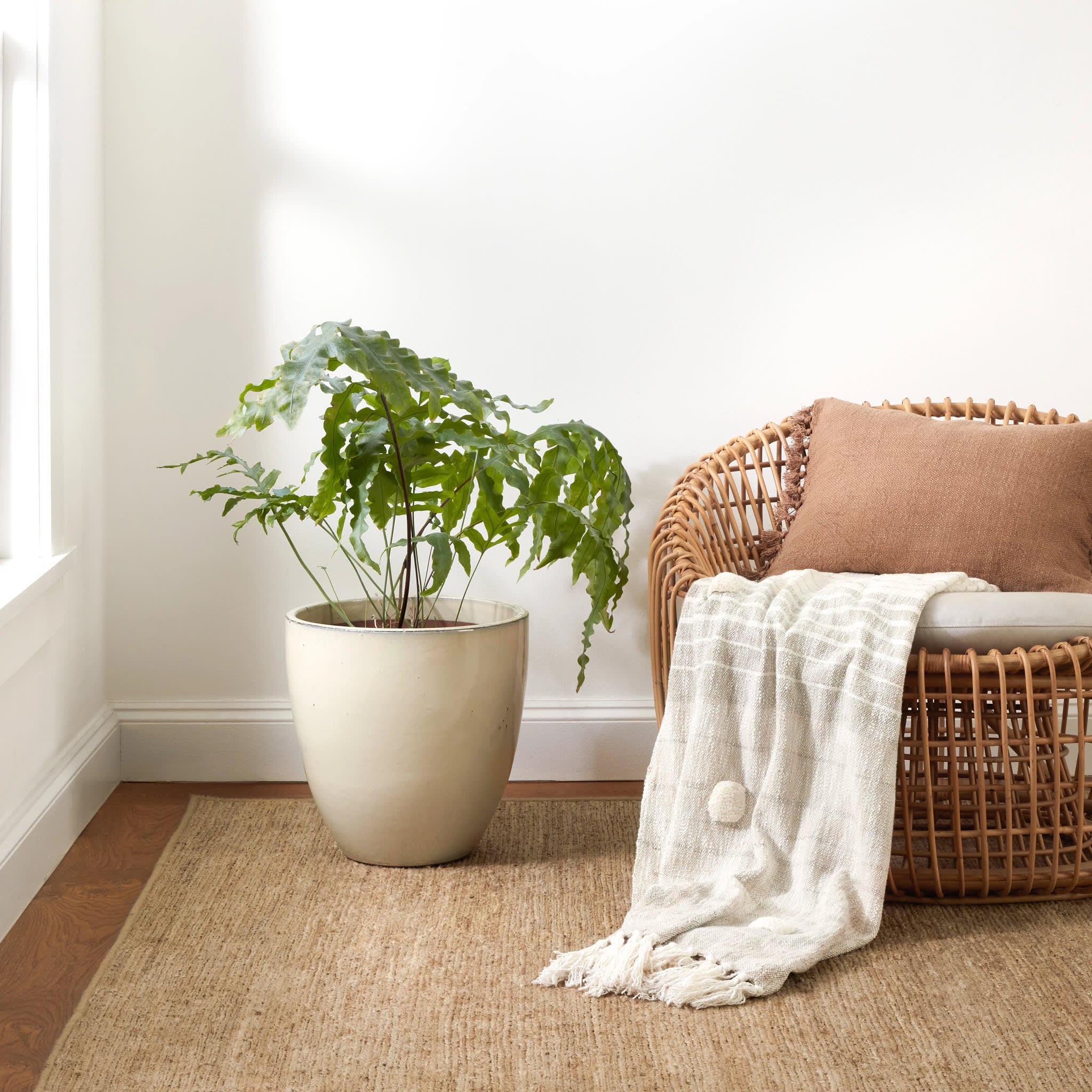 Willa Braided Woven Hemp Custom Rug | Natural - Image 2